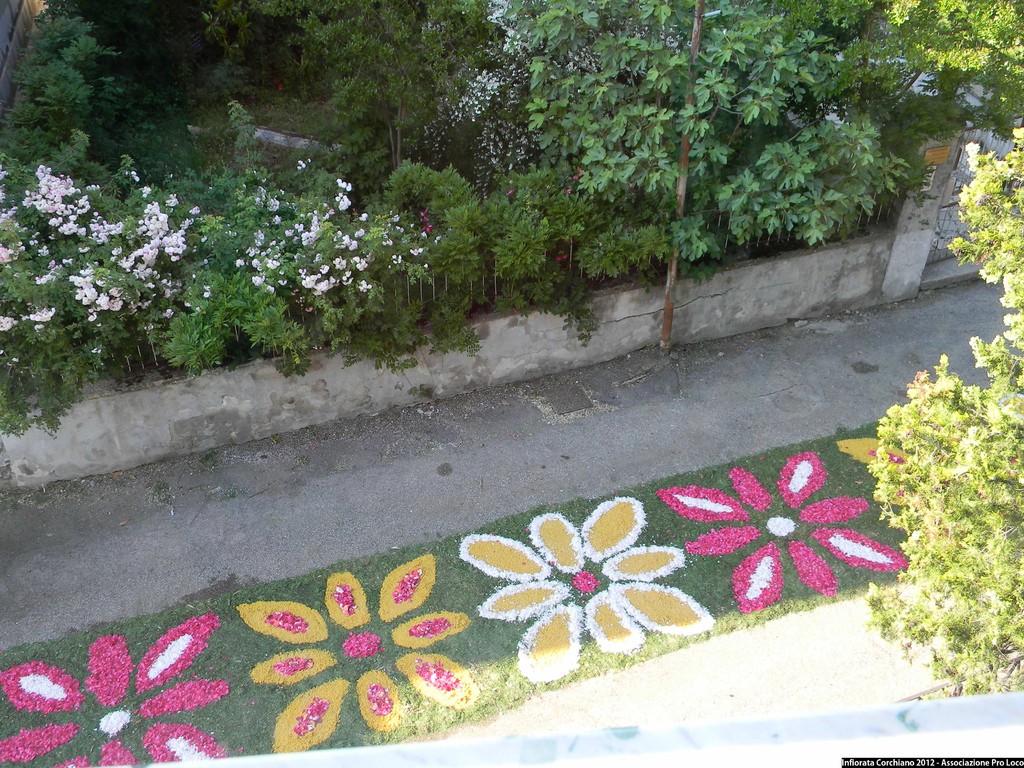 Infiorata 2012